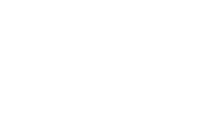 logo light